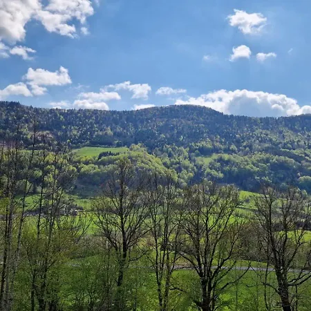 La Gentiane Le Falgoux