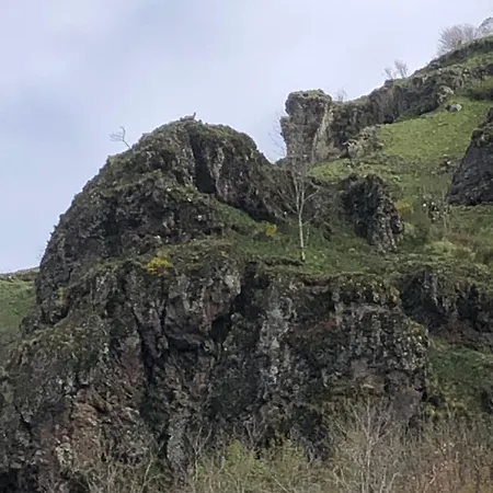 La Gentiane 住宿加早餐酒店 Le Falgoux